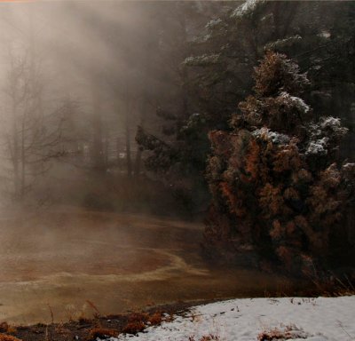 Out of the Mist