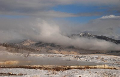 Canary Springs