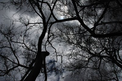 Gothic