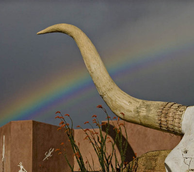  Horn of Plenty