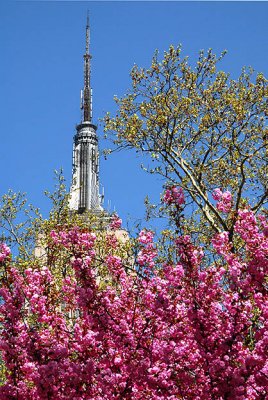 From Madison Square Park