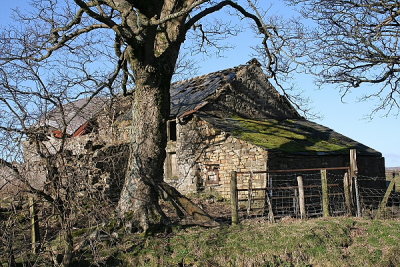 Image062.JPG