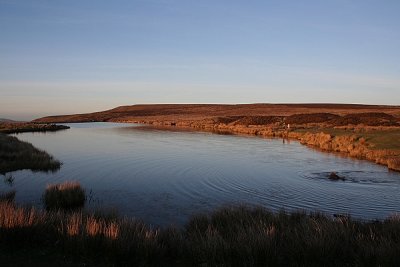 Image193.JPG