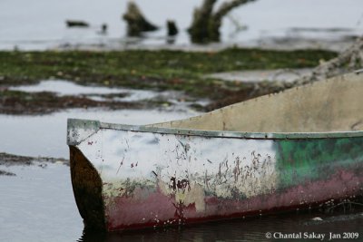 Abandoned Canoe