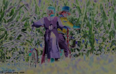 Shortcut Through the Corn Fields