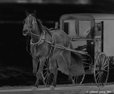 Right-of-Way-1766.jpg