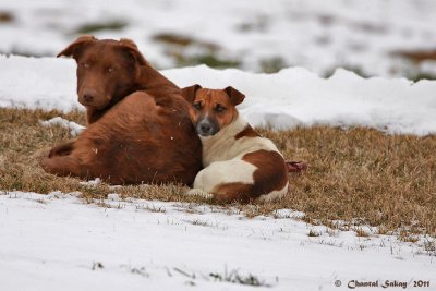Staying-Warm-1902.jpg