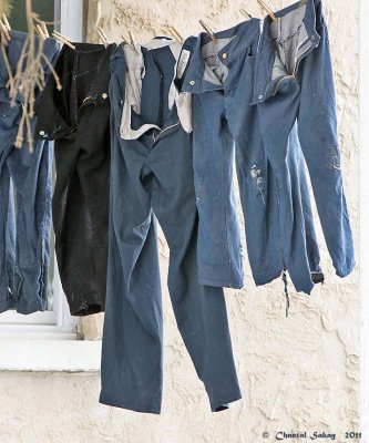 Washday-Blues-1808.jpg