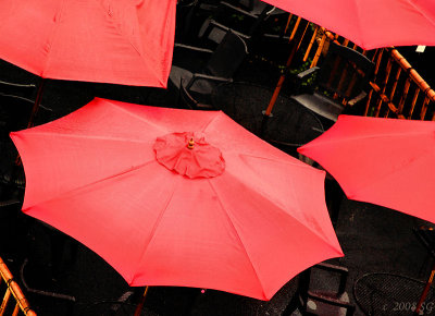 Le Parapluie de Cherbourg