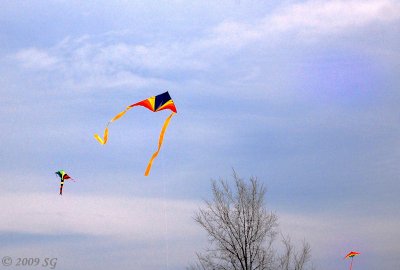 Love for Three Kites