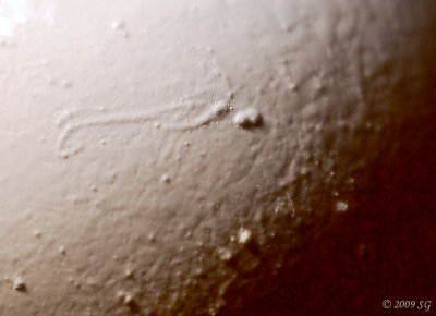 The Moment of Conception