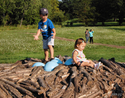 Hatchling Kids in a blue heron's nest