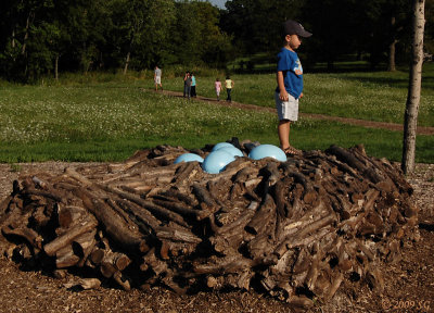 Morton Arboretum