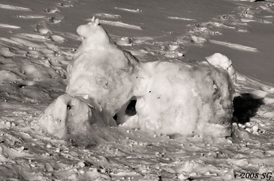 Snow Pony