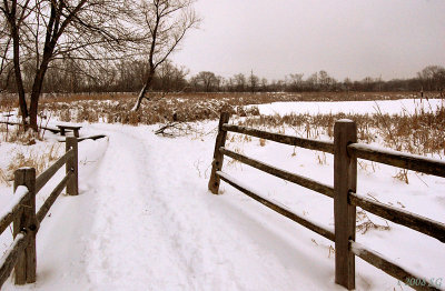 Gateway to the Prairie Marsh