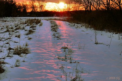 I'll Follow the Sun