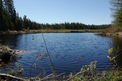 DSC_3868.jpg