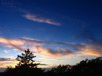 IMG_0121.JPG