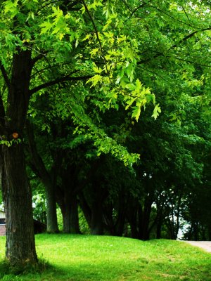 green
