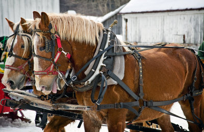 vermont