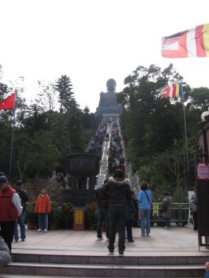 NZ1 017.jpg
