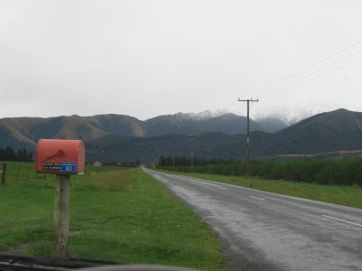 NZ1 032.jpg