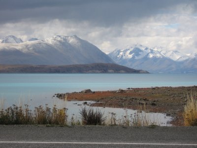 NZ1 037.jpg