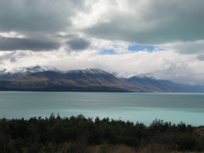 NZ1 041.jpg