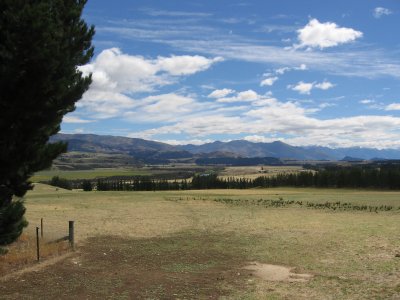 NZ1 054.jpg