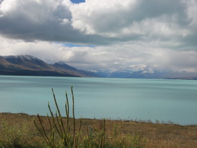 NZ1 044.jpg