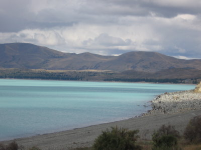 NZ1 047.jpg
