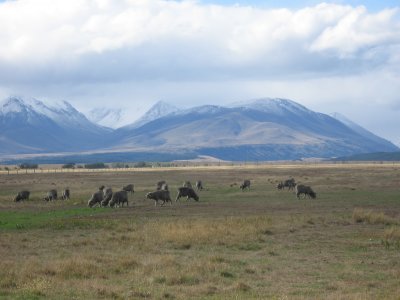NZ1 049.jpg
