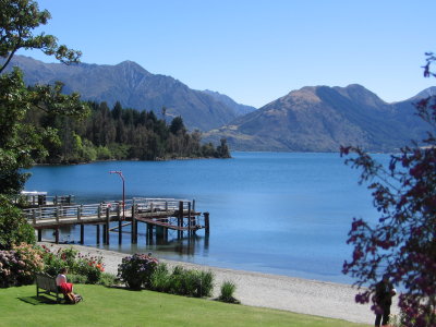 new__zealand__2008