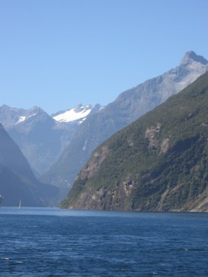 NZ1 094.jpg