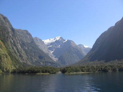 NZ1 097.jpg