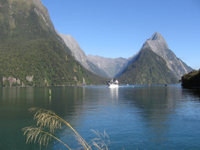 NZ1 087.jpg