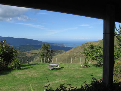 NZ1 123.jpg