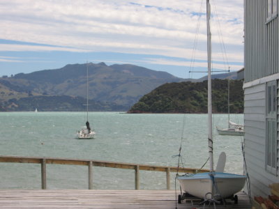 NZ2 010.jpg