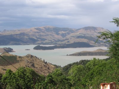 NZ2 015.jpg