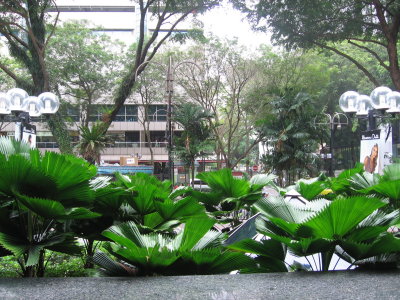 singapore_2008