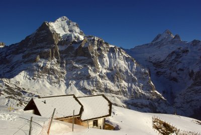 Wetterhorn from First