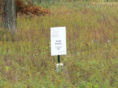 Strub Prairie