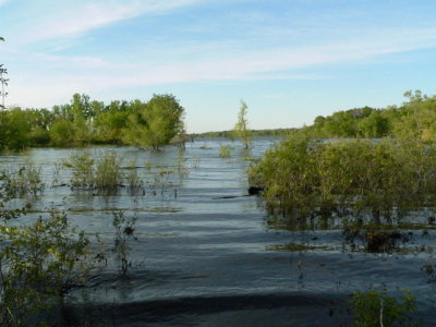 High Water, Coralville Res
May 2008, Leo's Landing
As close to the same spot 
as possible w/o wet feet.