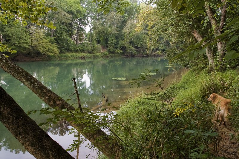 max (6 yrs) at the chattahoochee river national recreation area, medlock bridge unit