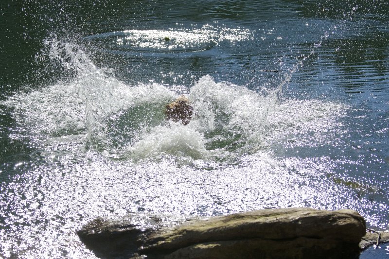 max (6 yrs) at the chattahoochee river