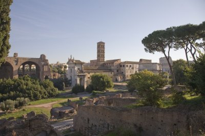 view of the roman forum from the palantine hill