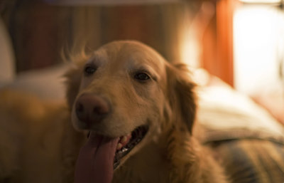max - 5 yrs