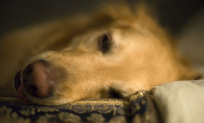max - 5 yrs