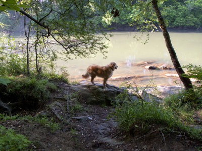 Maximus at the Chattahoochee - May 31, 2009