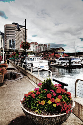 seattle water front